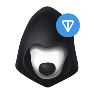 Toncoin whitepaper
